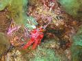 IMG_4346 r1